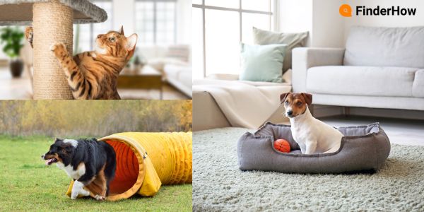 A collage of a luxurious dog bed inside a home, a catio in a backyard, and an indoor climbing structure for cats. 